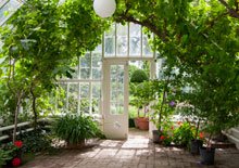 Inspirational interiors - bringing the outside in